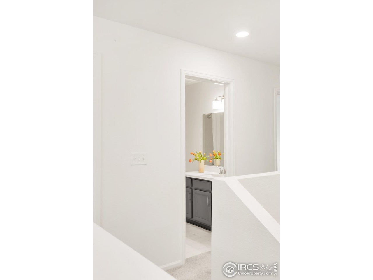 2455 Alpine St