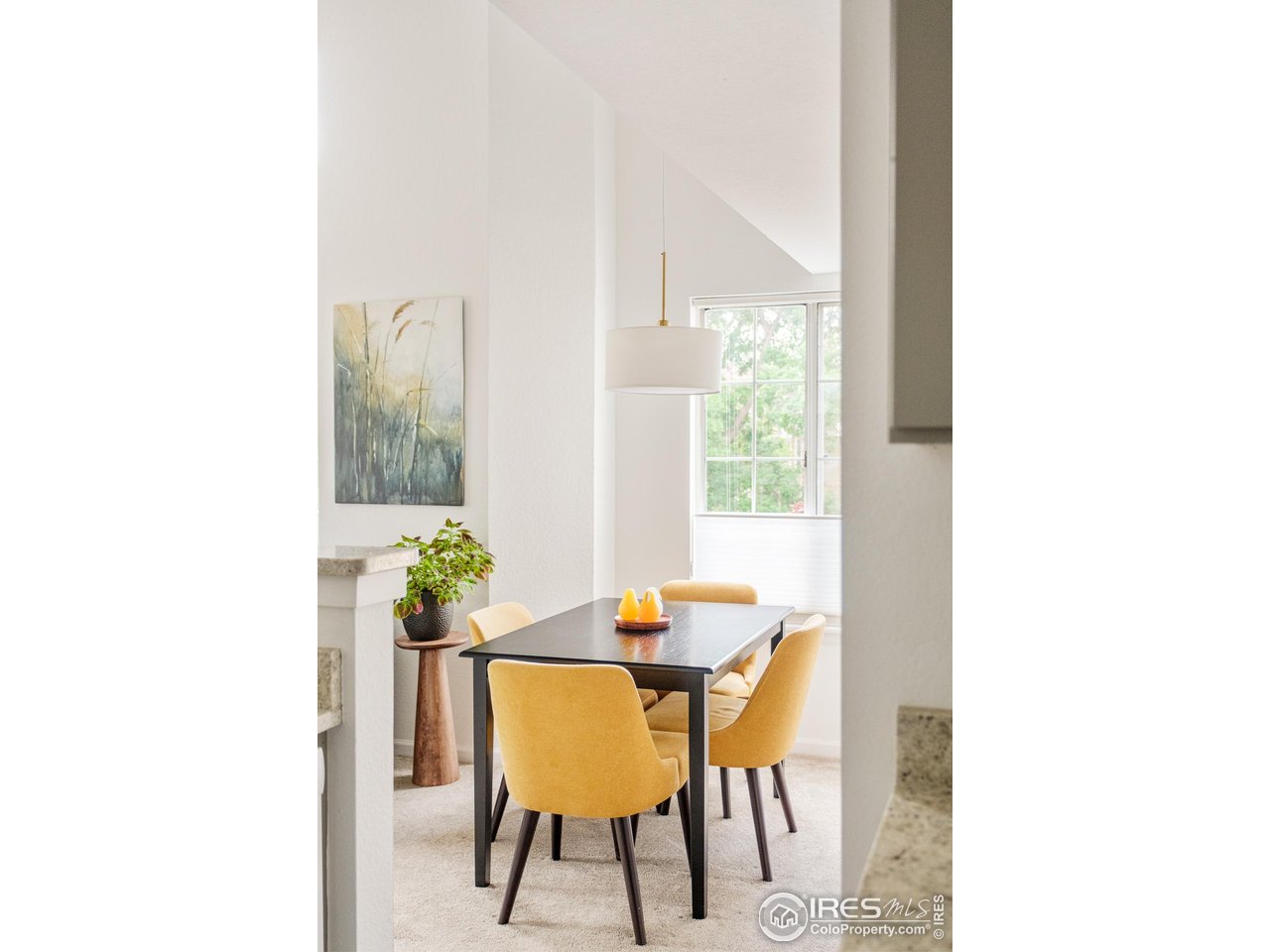 4887 White Rock Cir F