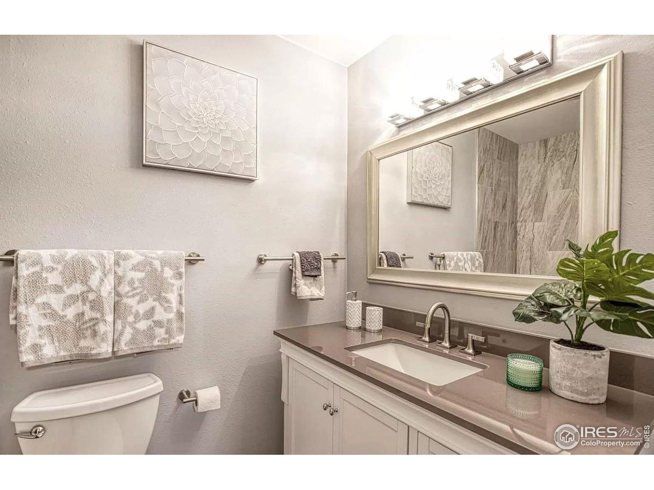 2707 Valmont Rd 311A