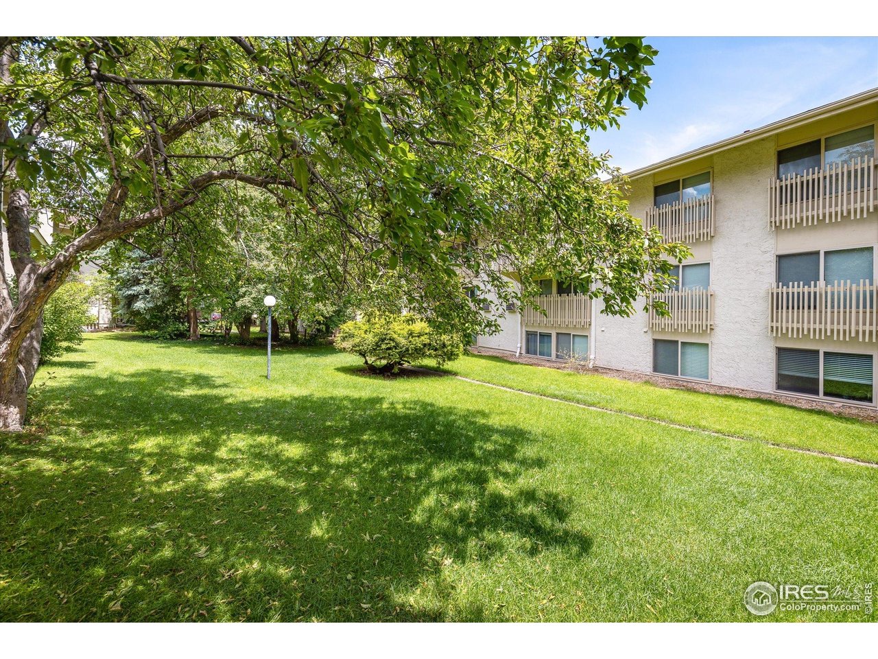 2707 Valmont Rd 311A