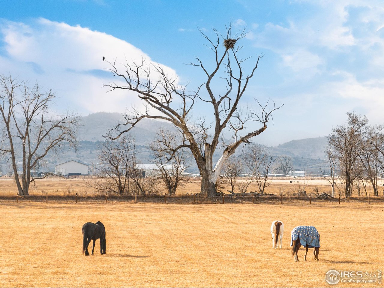 523 Nesting Eagles Way