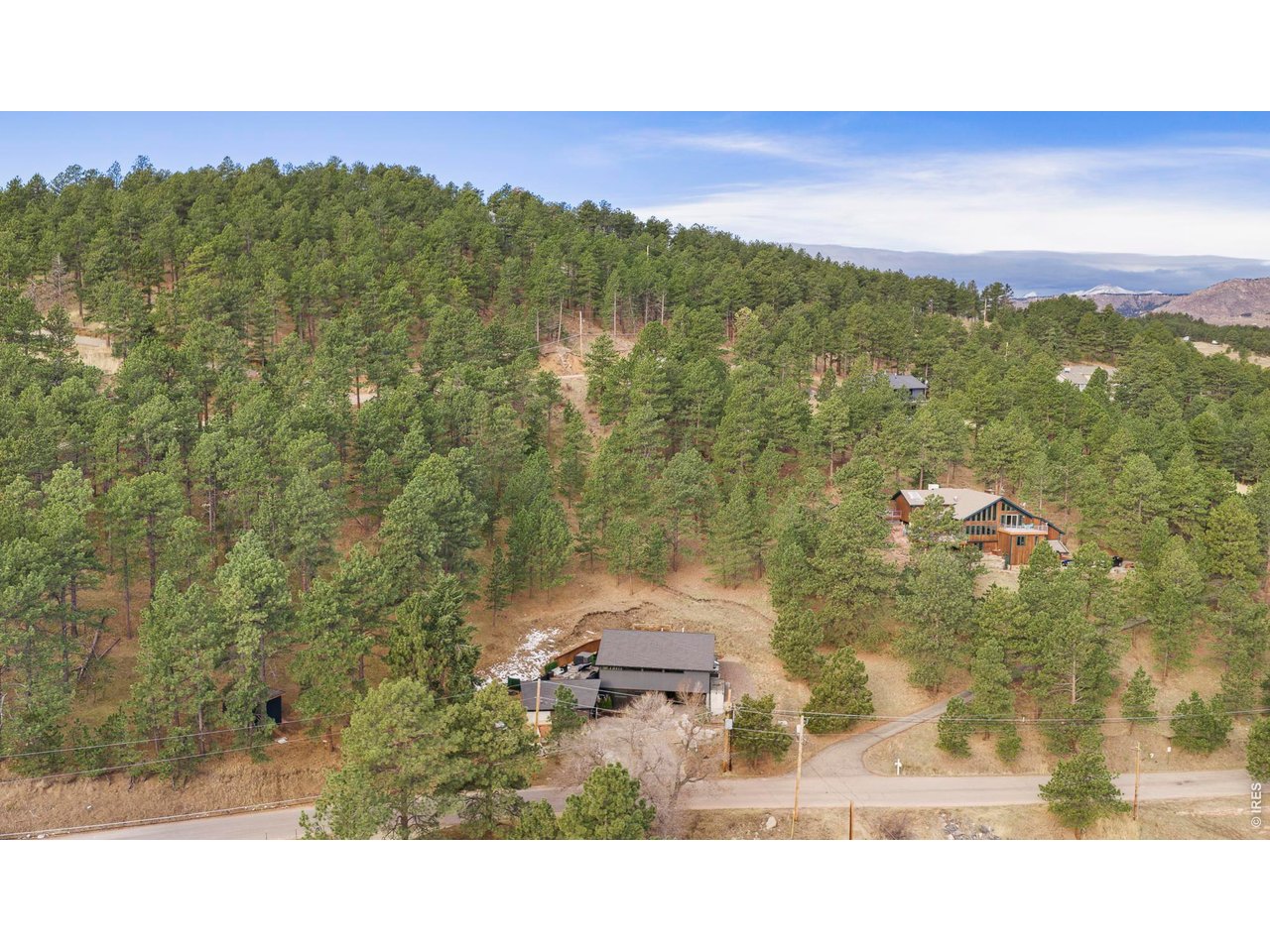 316 Pine Tree Ln