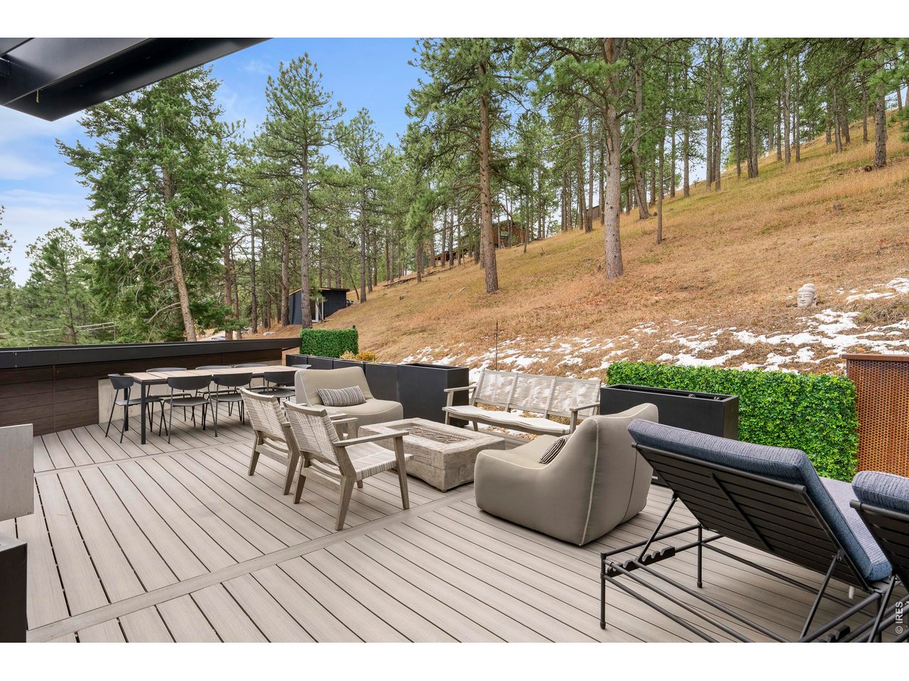 316 Pine Tree Ln