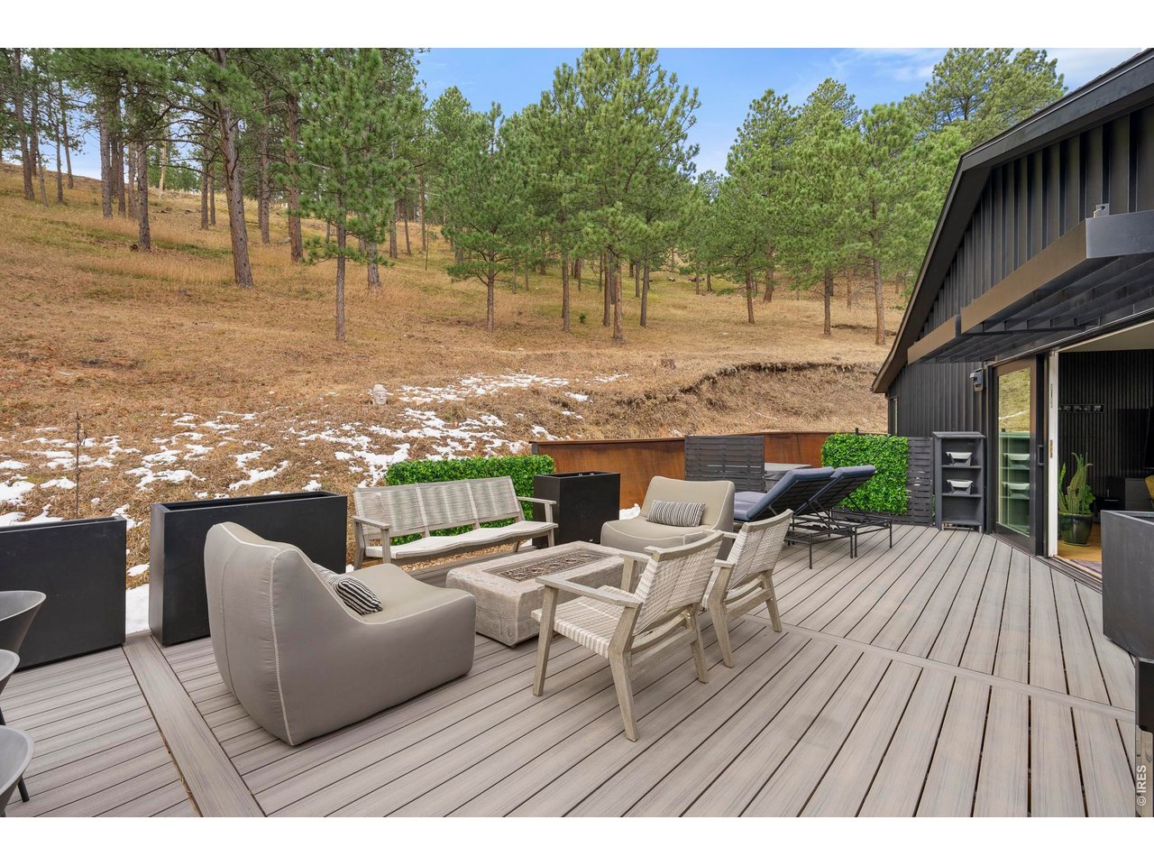 316 Pine Tree Ln