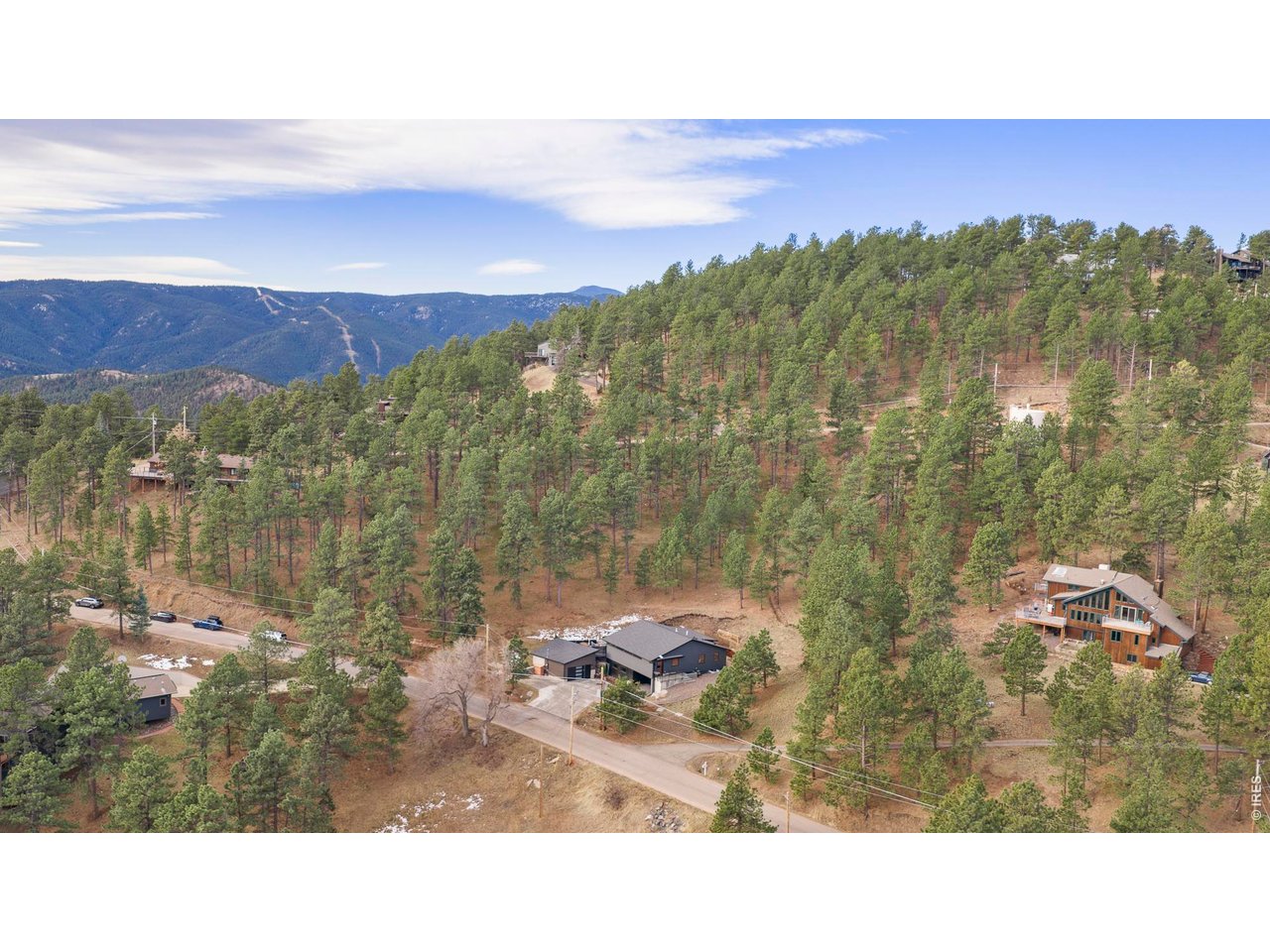 316 Pine Tree Ln
