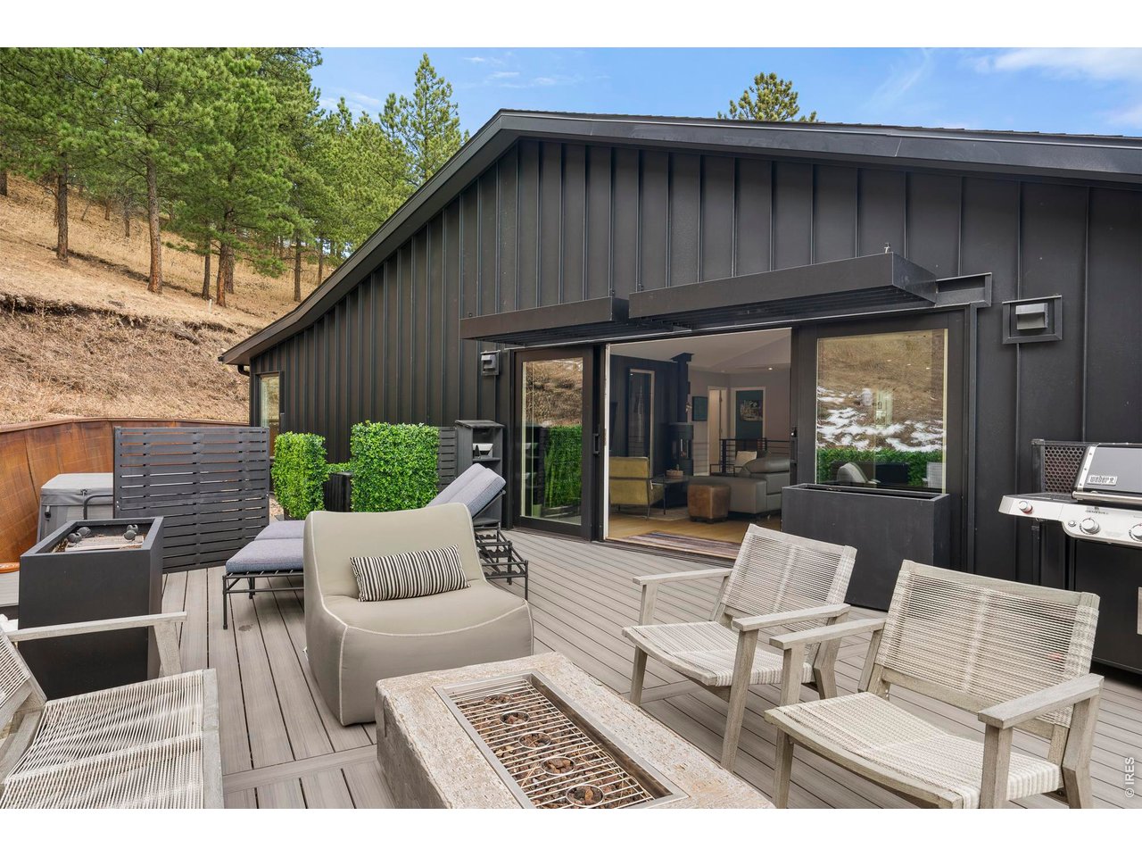 316 Pine Tree Ln