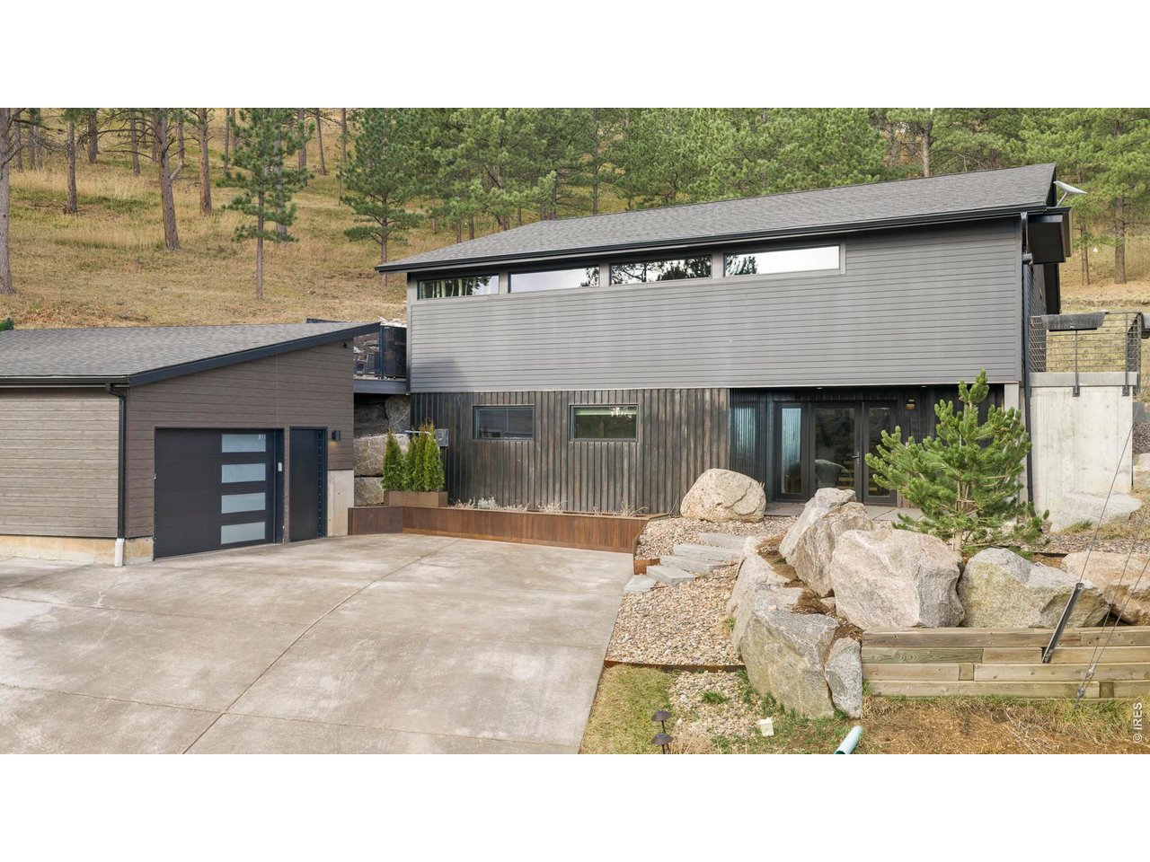 316 Pine Tree Ln
