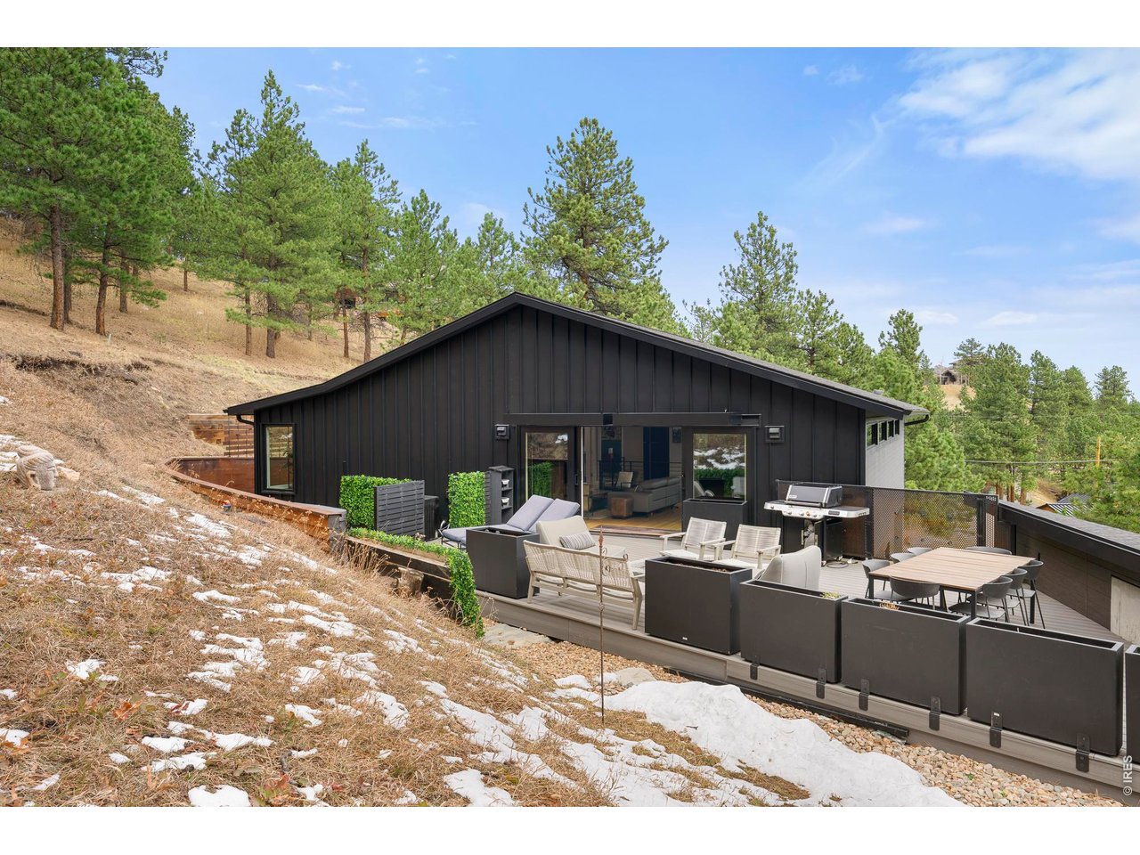 316 Pine Tree Ln