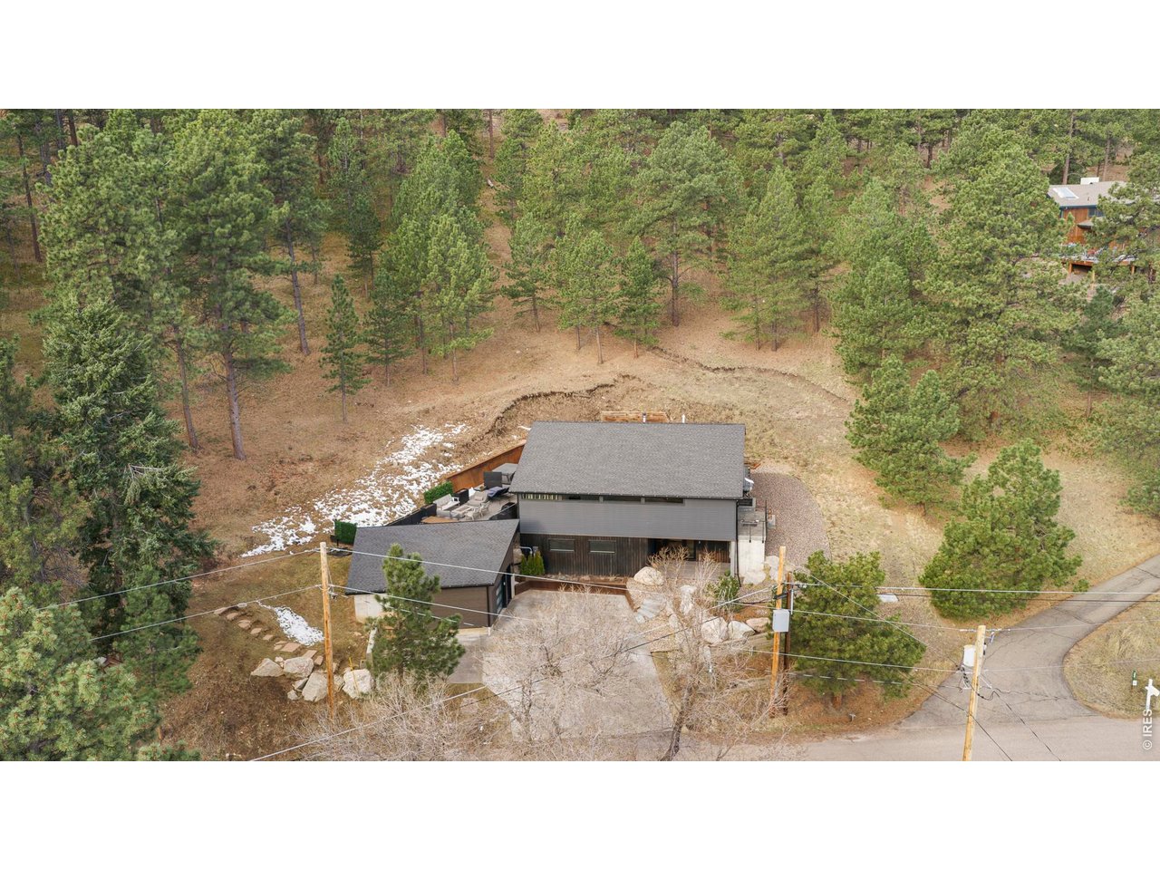 316 Pine Tree Ln