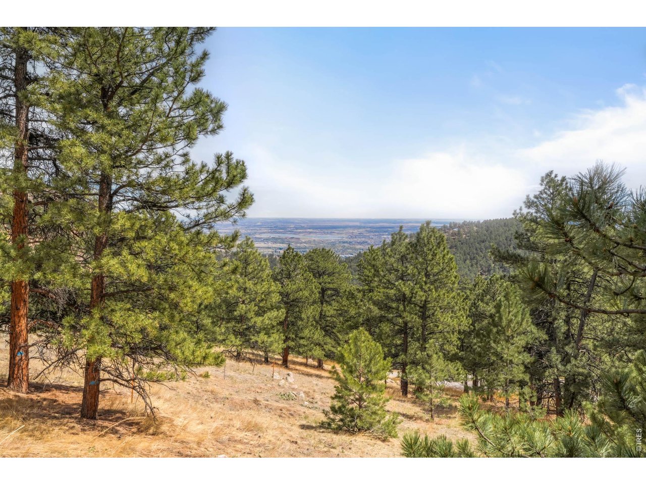 61 Wild Horse Cir