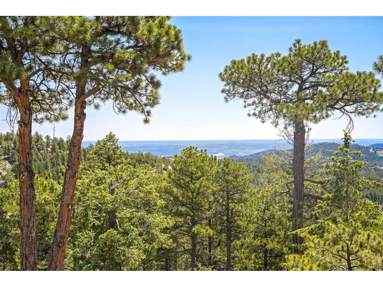 24043 Eagle Cliff Trl