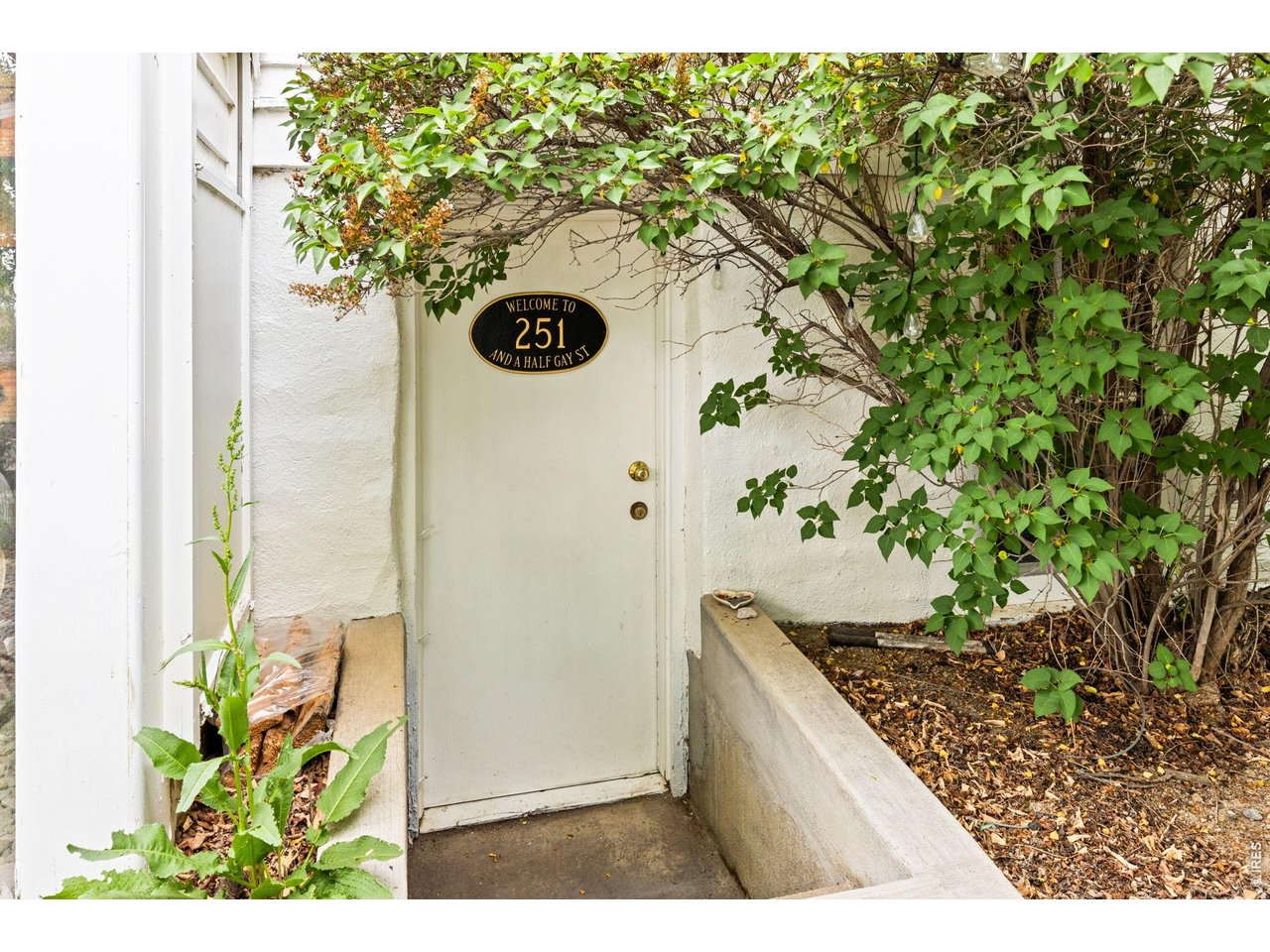 251 Gay St