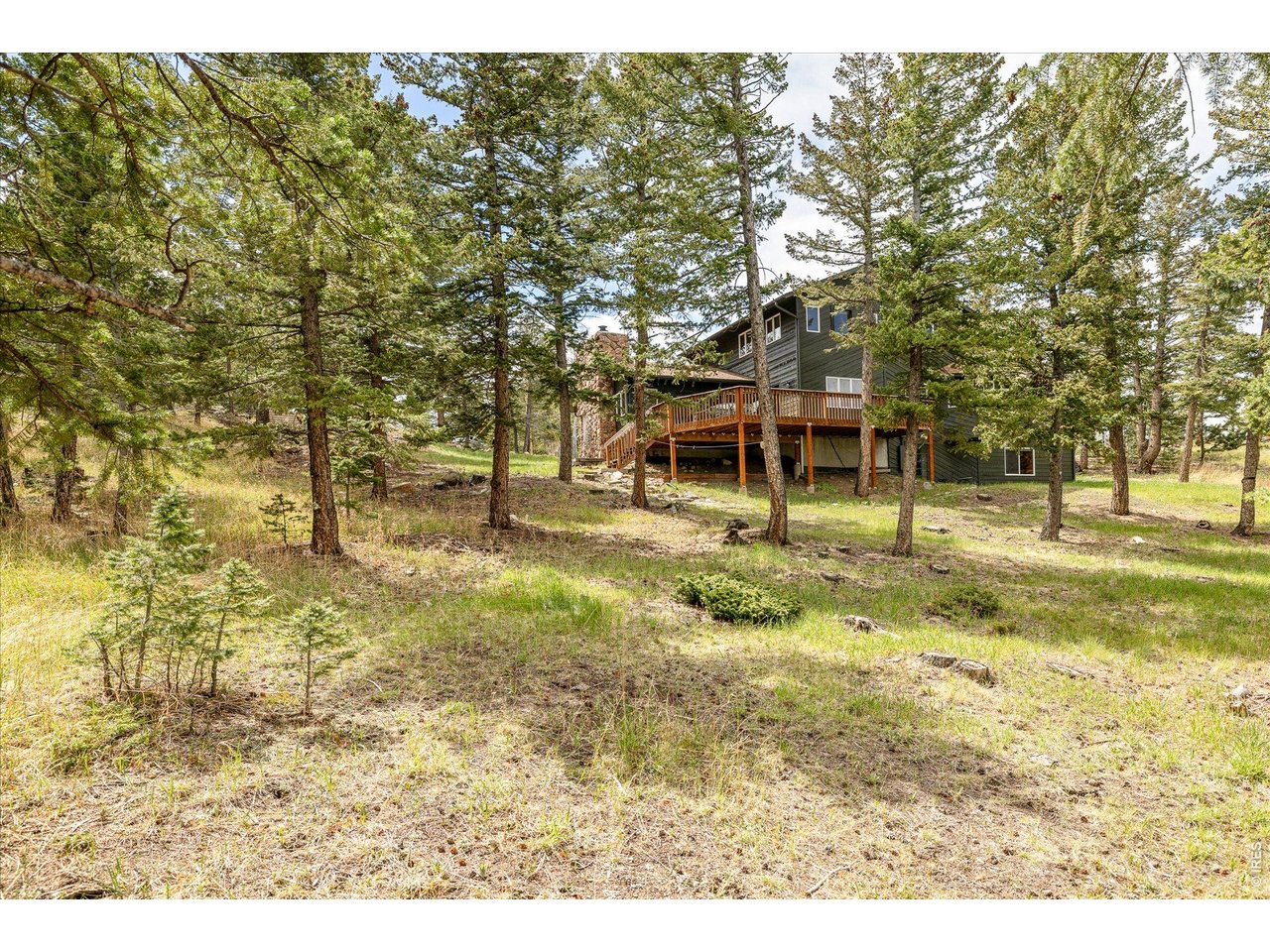 124 Deer Trail Cir