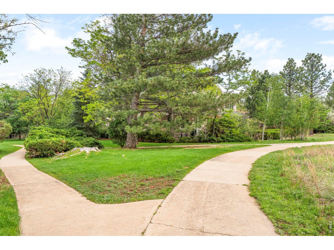 3917 Orchard Ct