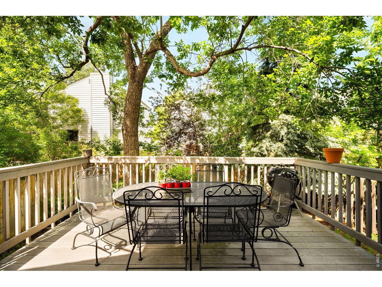 77 Genesee Ct