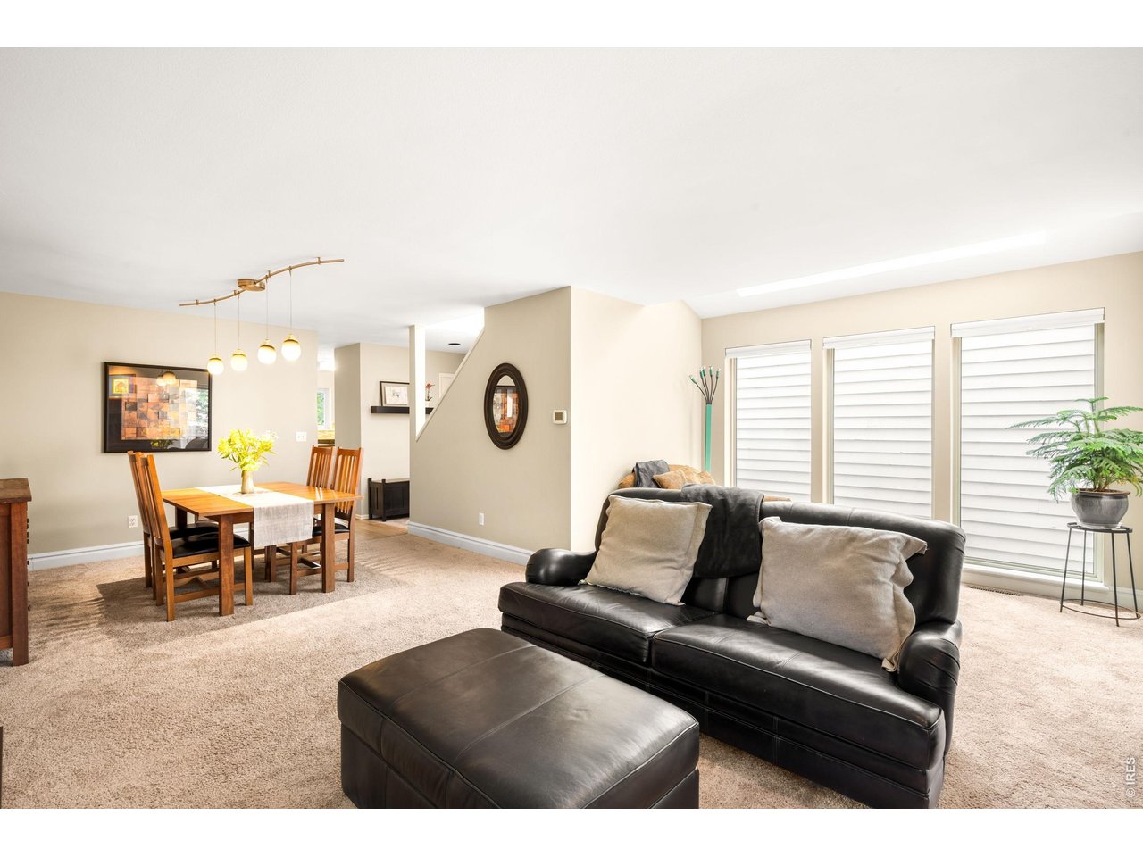 77 Genesee Ct