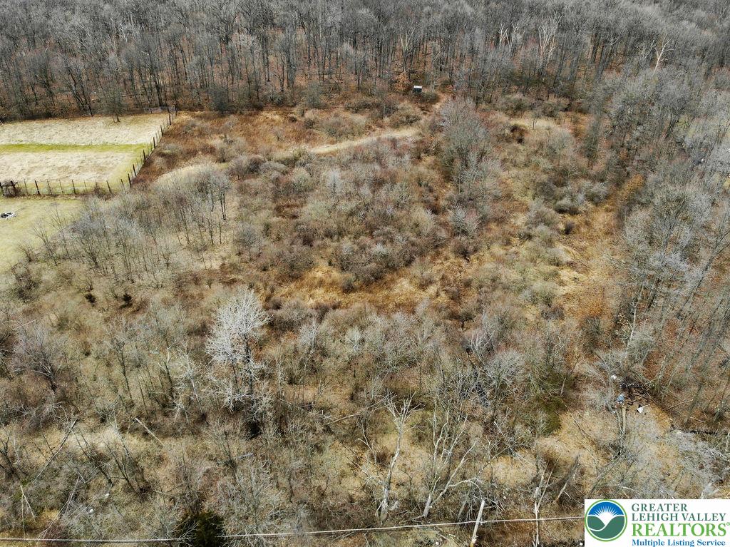 3297 Mountain Road