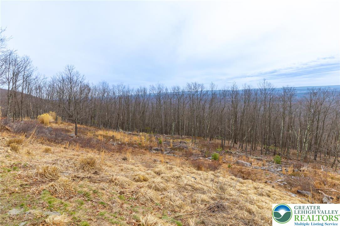 1231 Sky High Terrace