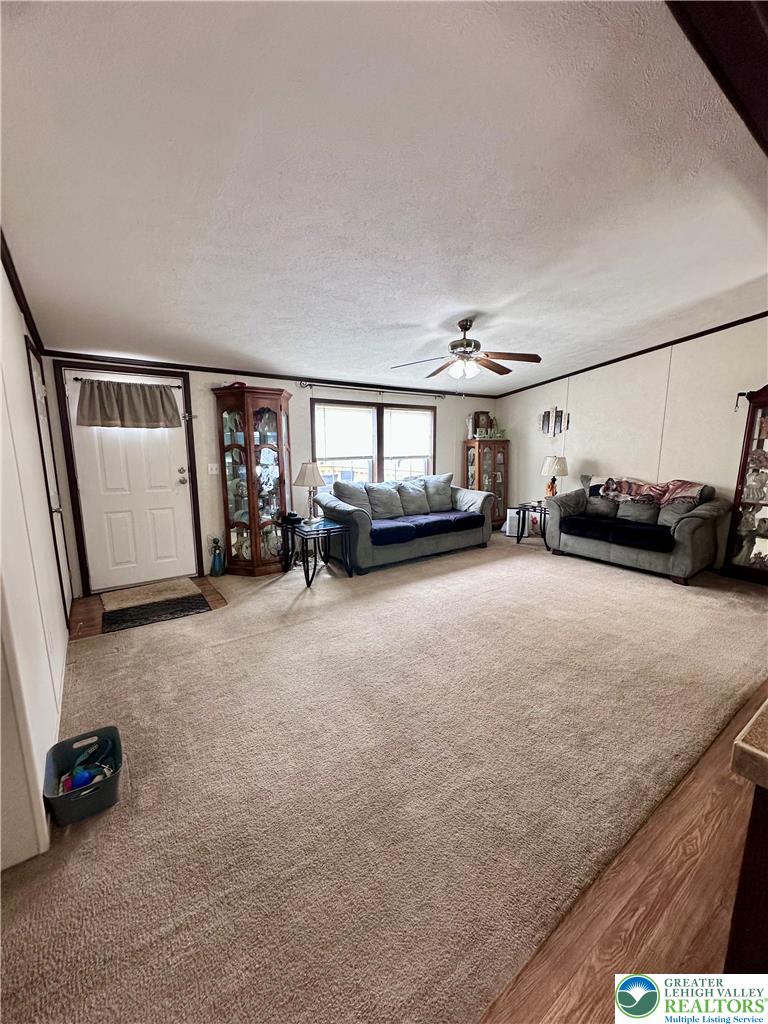 435 Mountain Village Drive