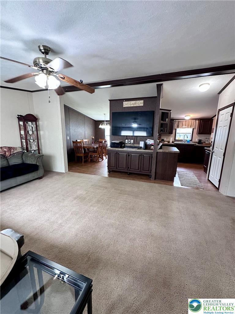 435 Mountain Village Drive