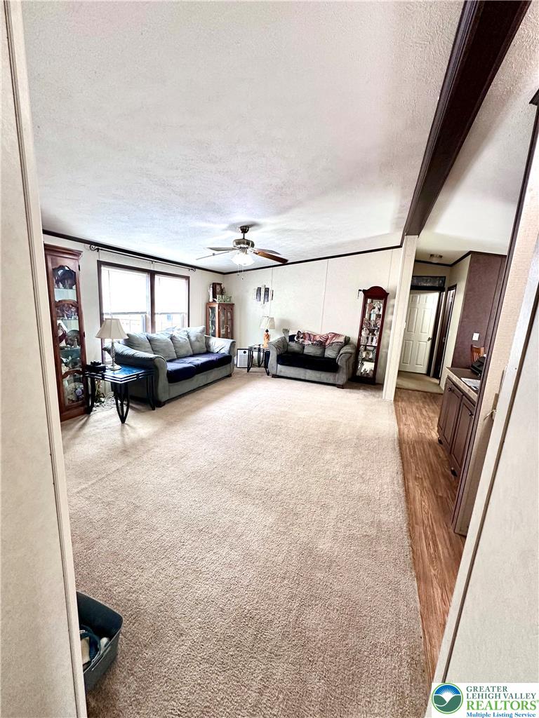 435 Mountain Village Drive