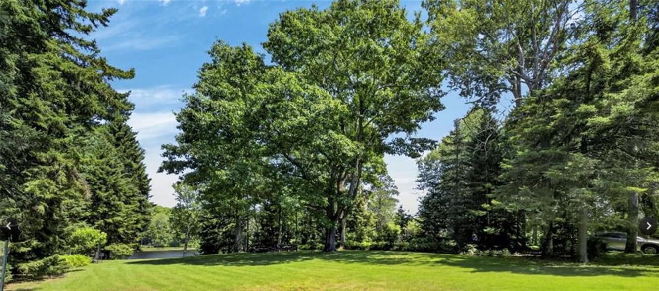 71 Ursus Drive