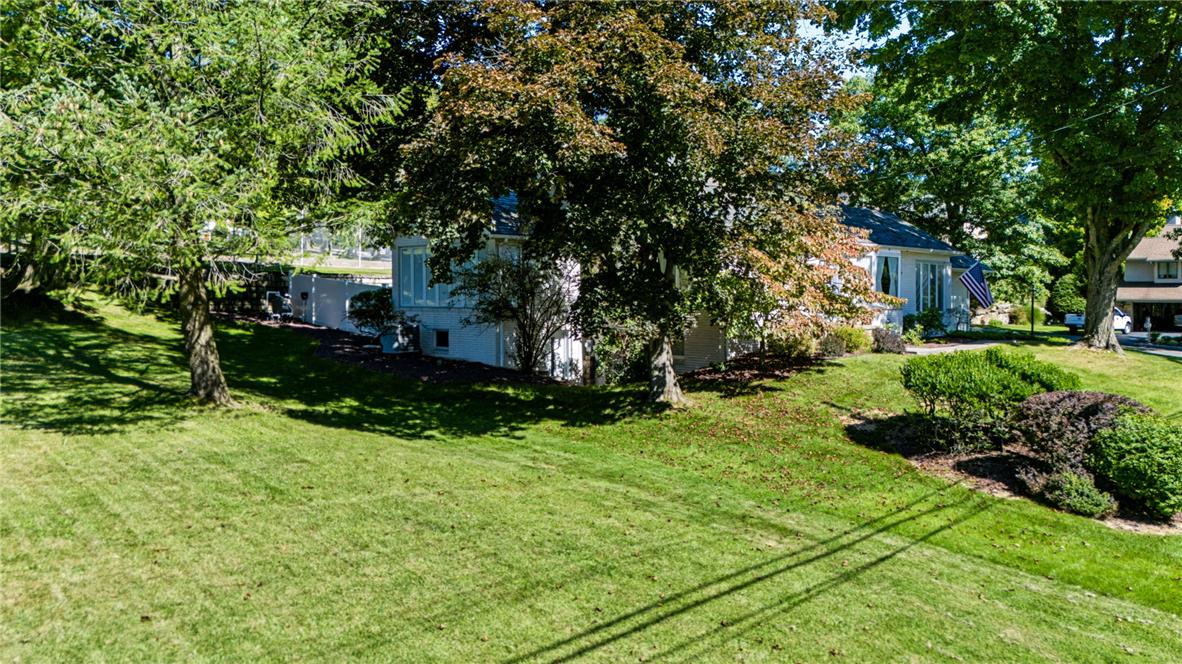 203 Vine Street