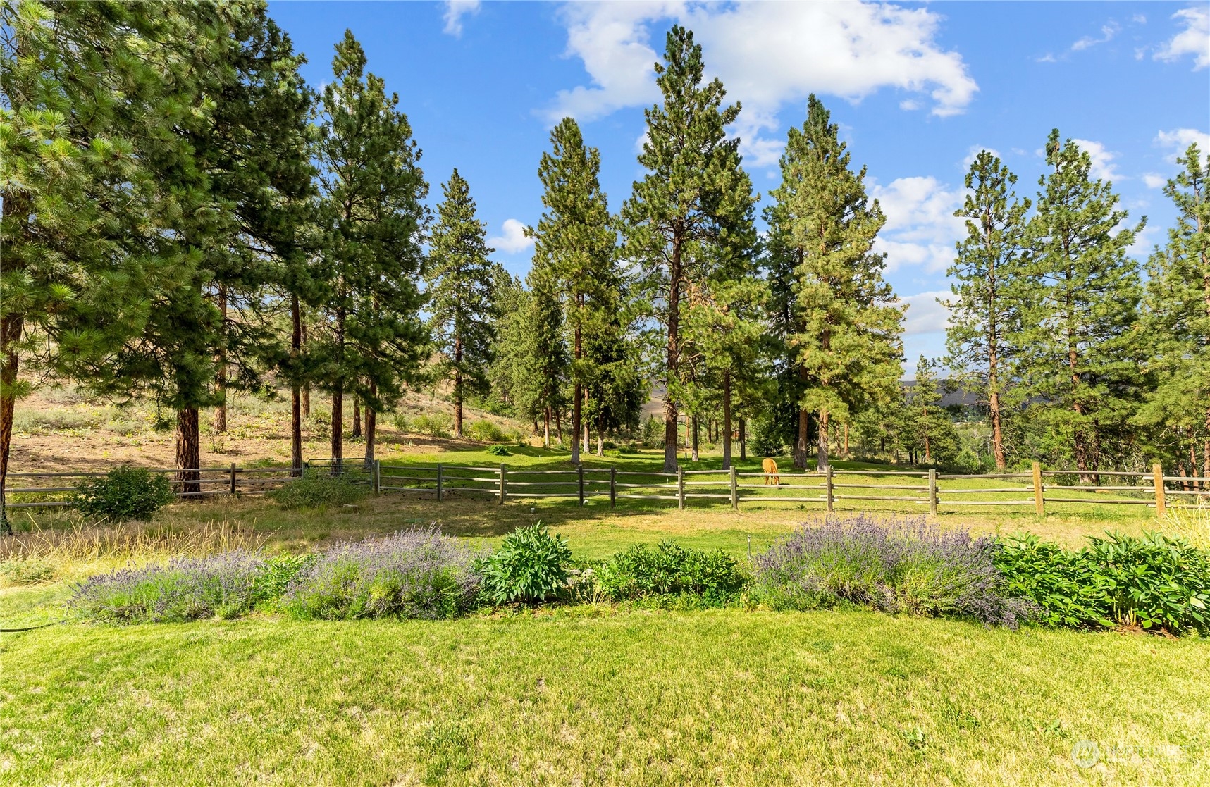 19 Poorman Creek Cut-Off Road