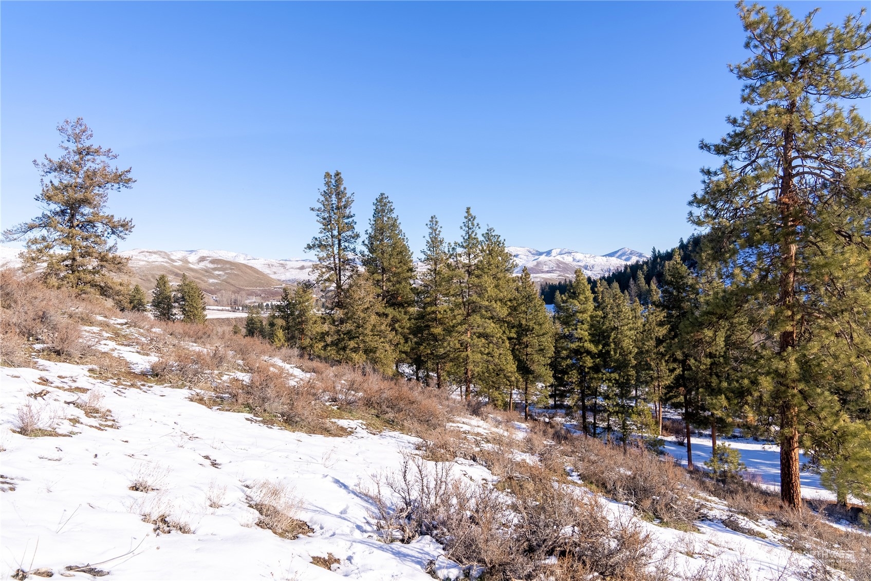 19 Poorman Creek Cut-Off Road