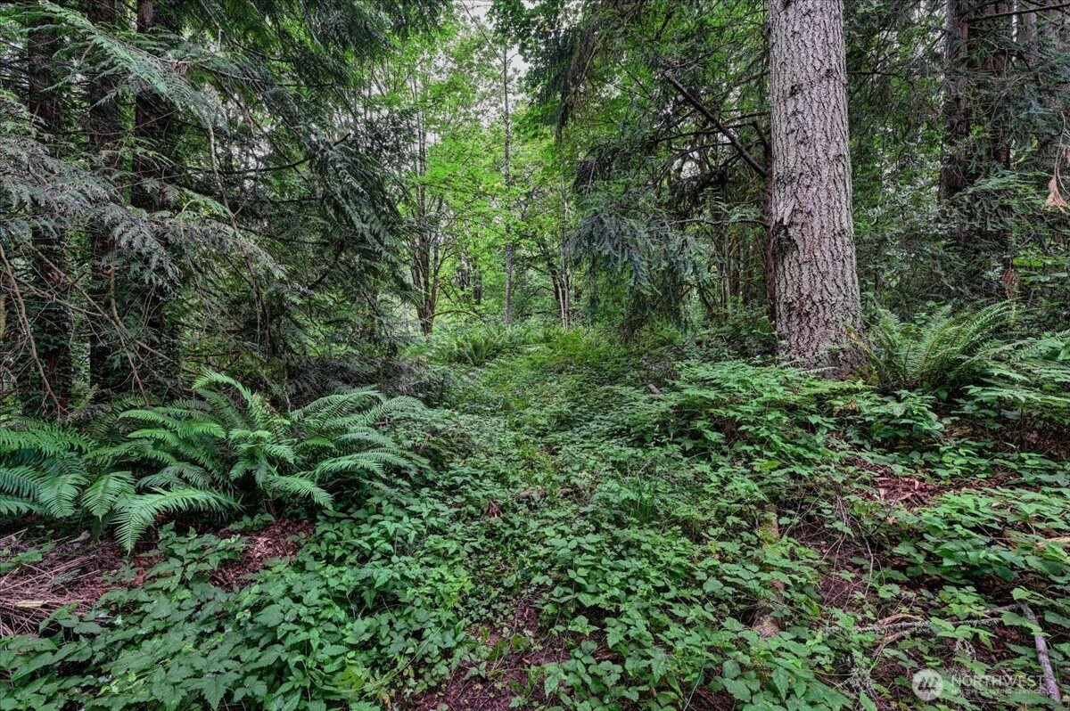 4133 W Ames Lake Drive NE