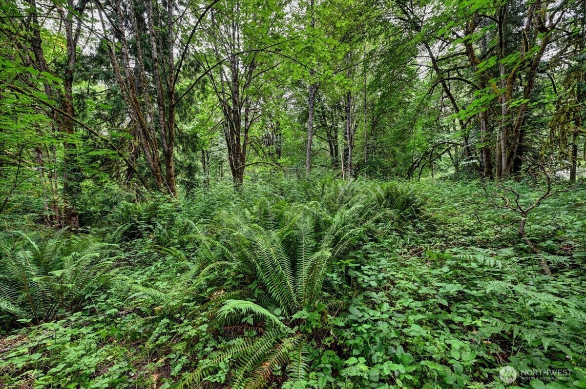 4133 W Ames Lake Drive NE