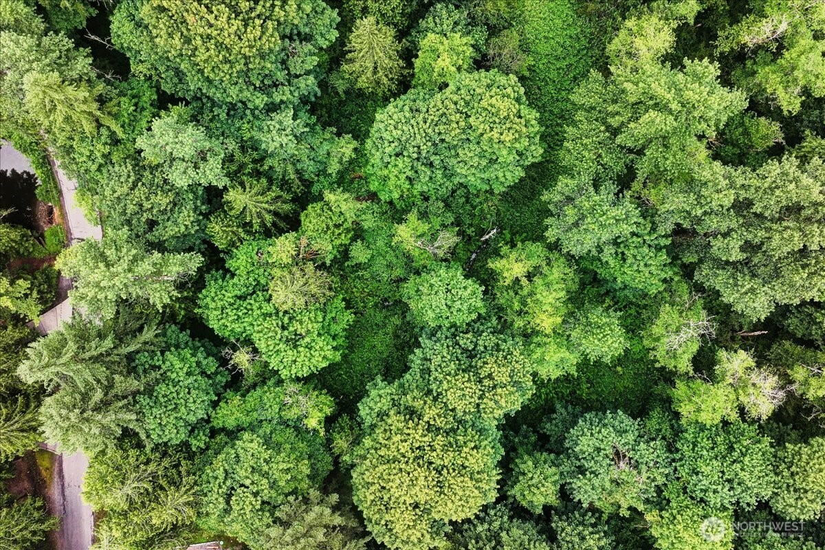 4133 W Ames Lake Drive NE