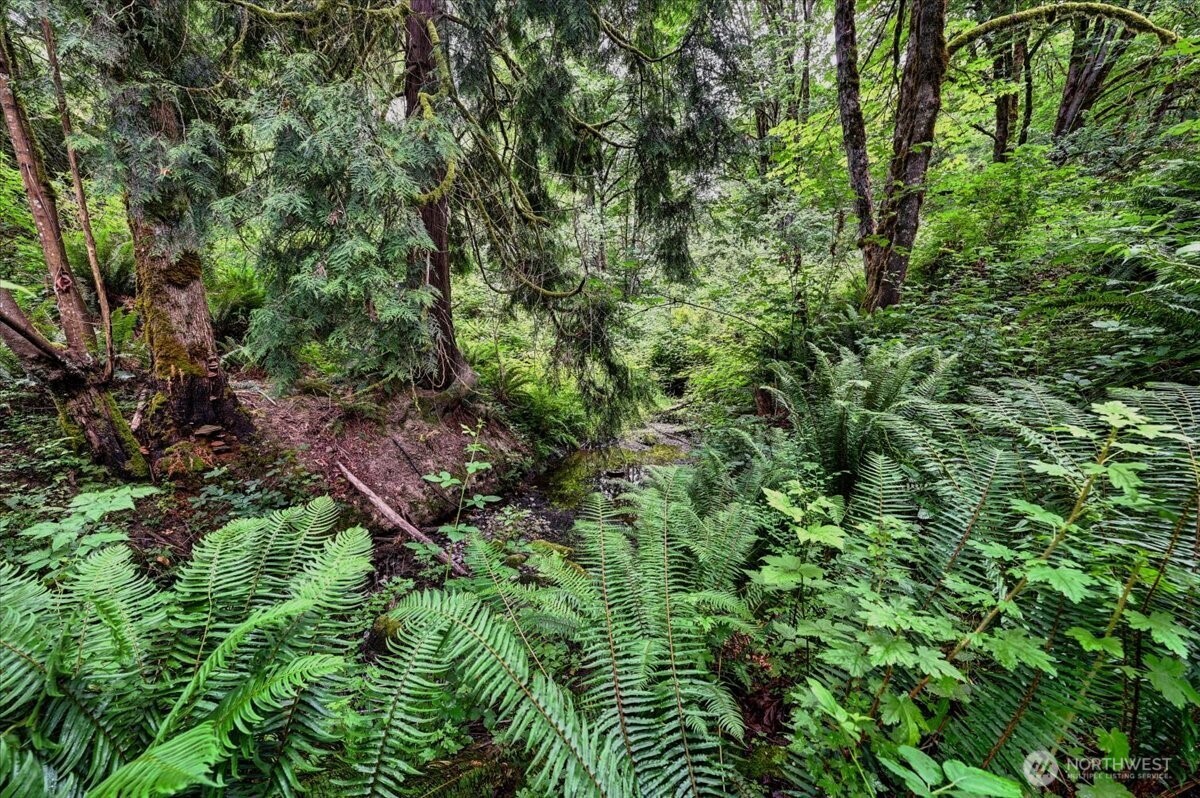 4133 W Ames Lake Drive NE