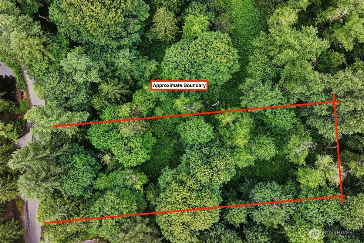 4133 W Ames Lake Drive NE