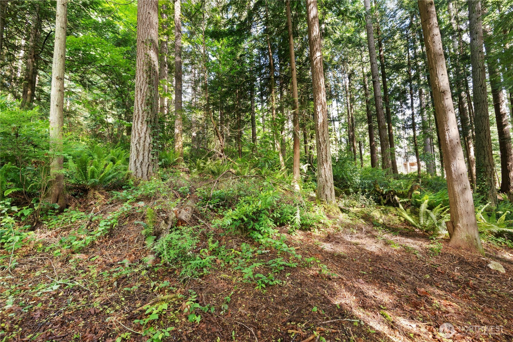 3304 W Ames Lake Drive NE