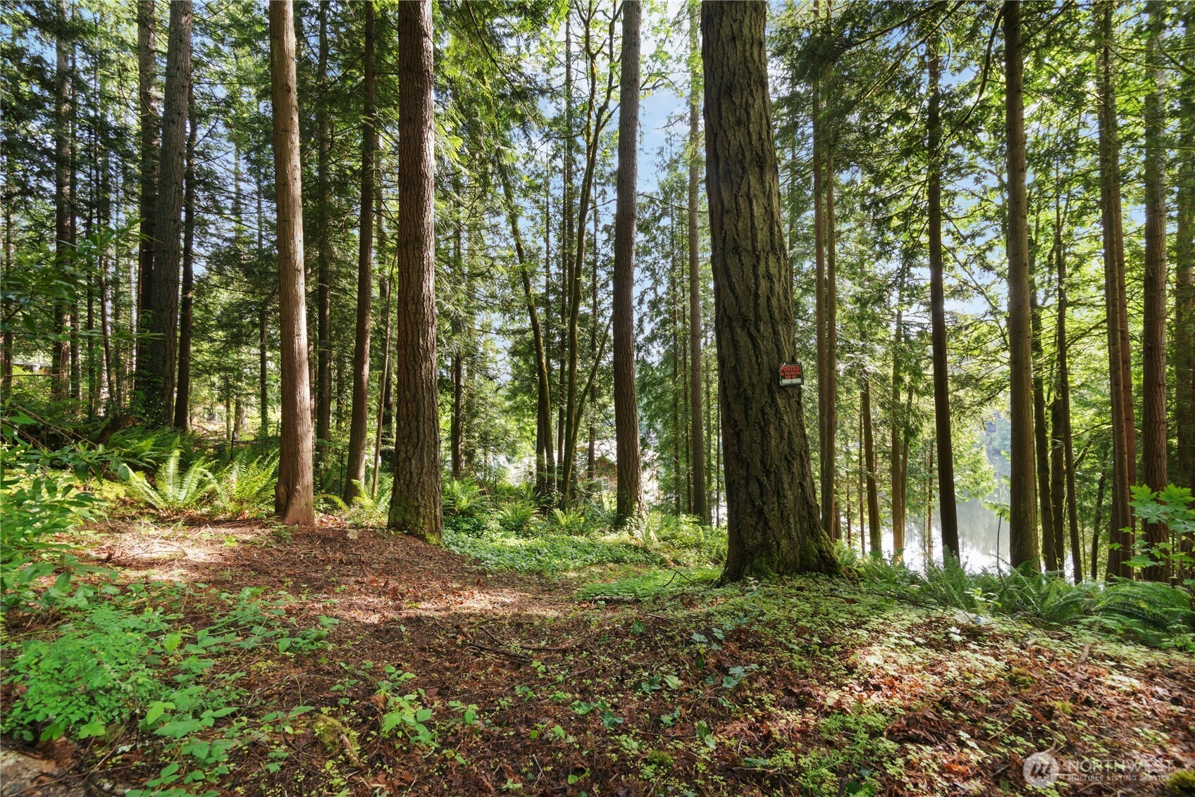 3304 W Ames Lake Drive NE