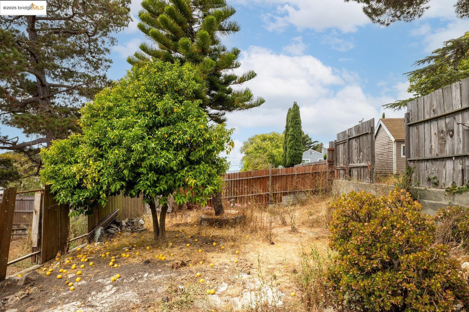 619 Santa Maria Rd