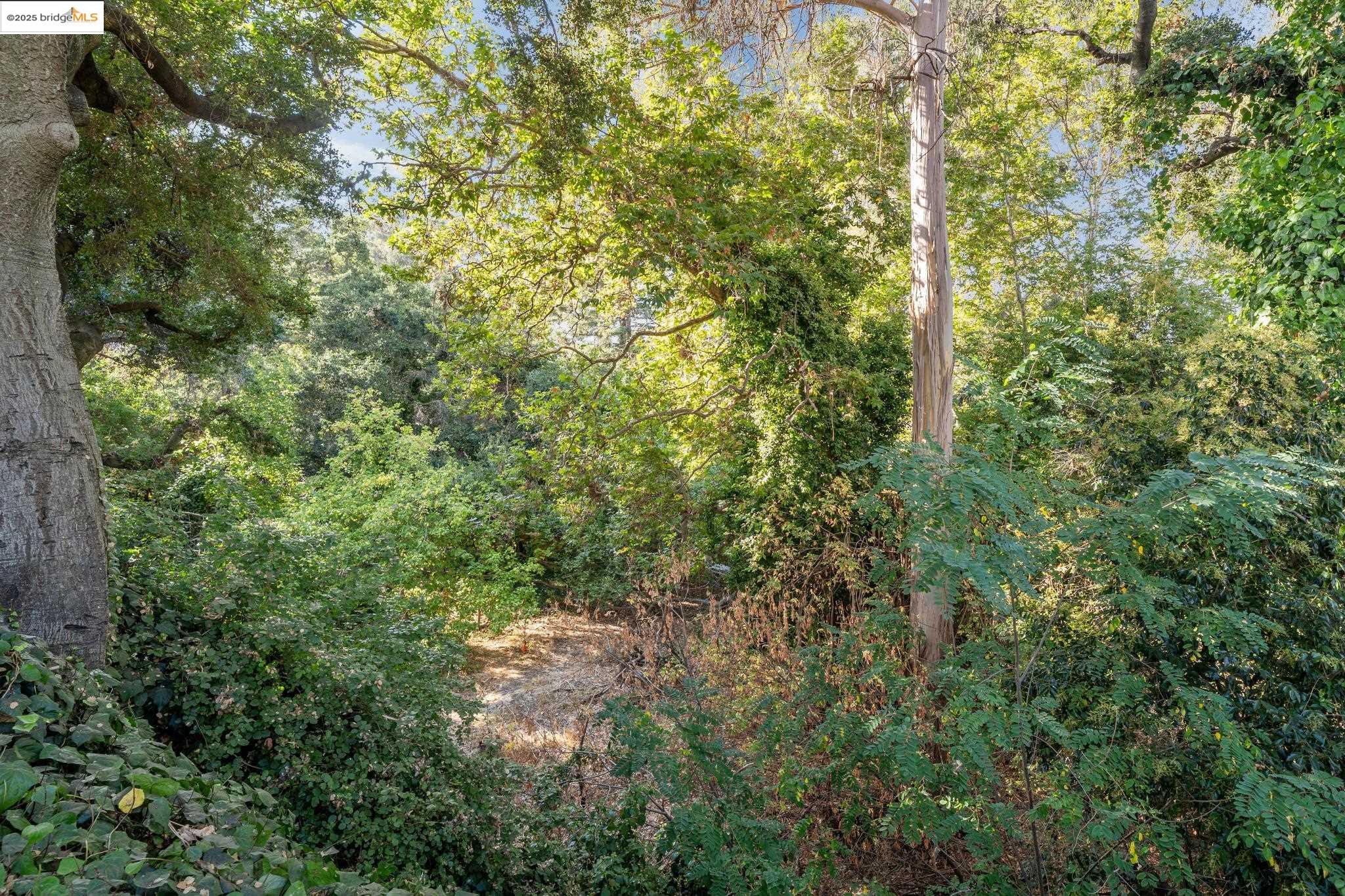 972 Collier Dr