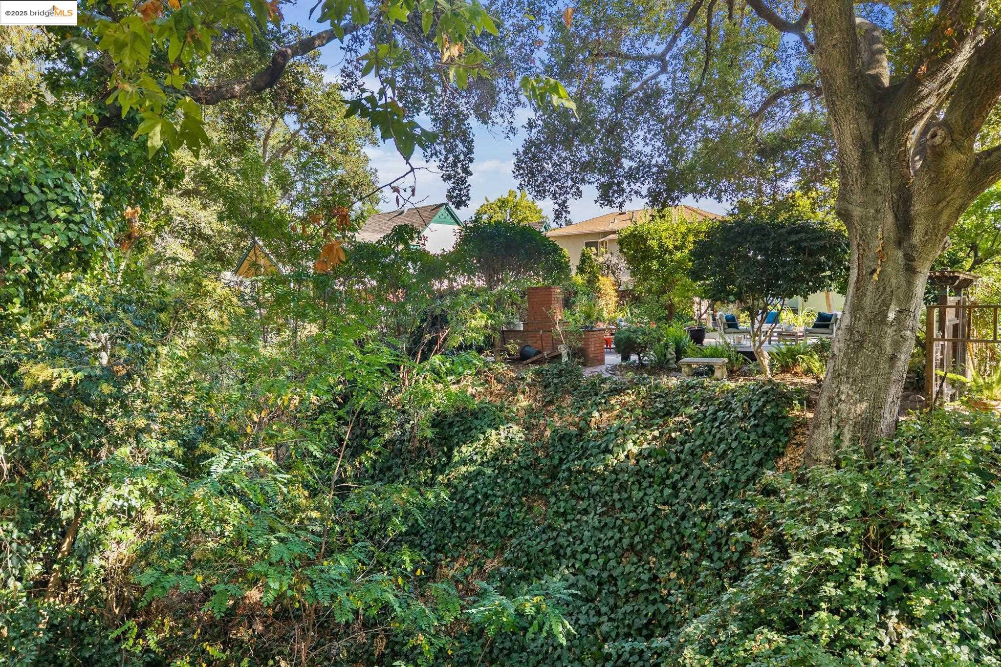 972 Collier Dr