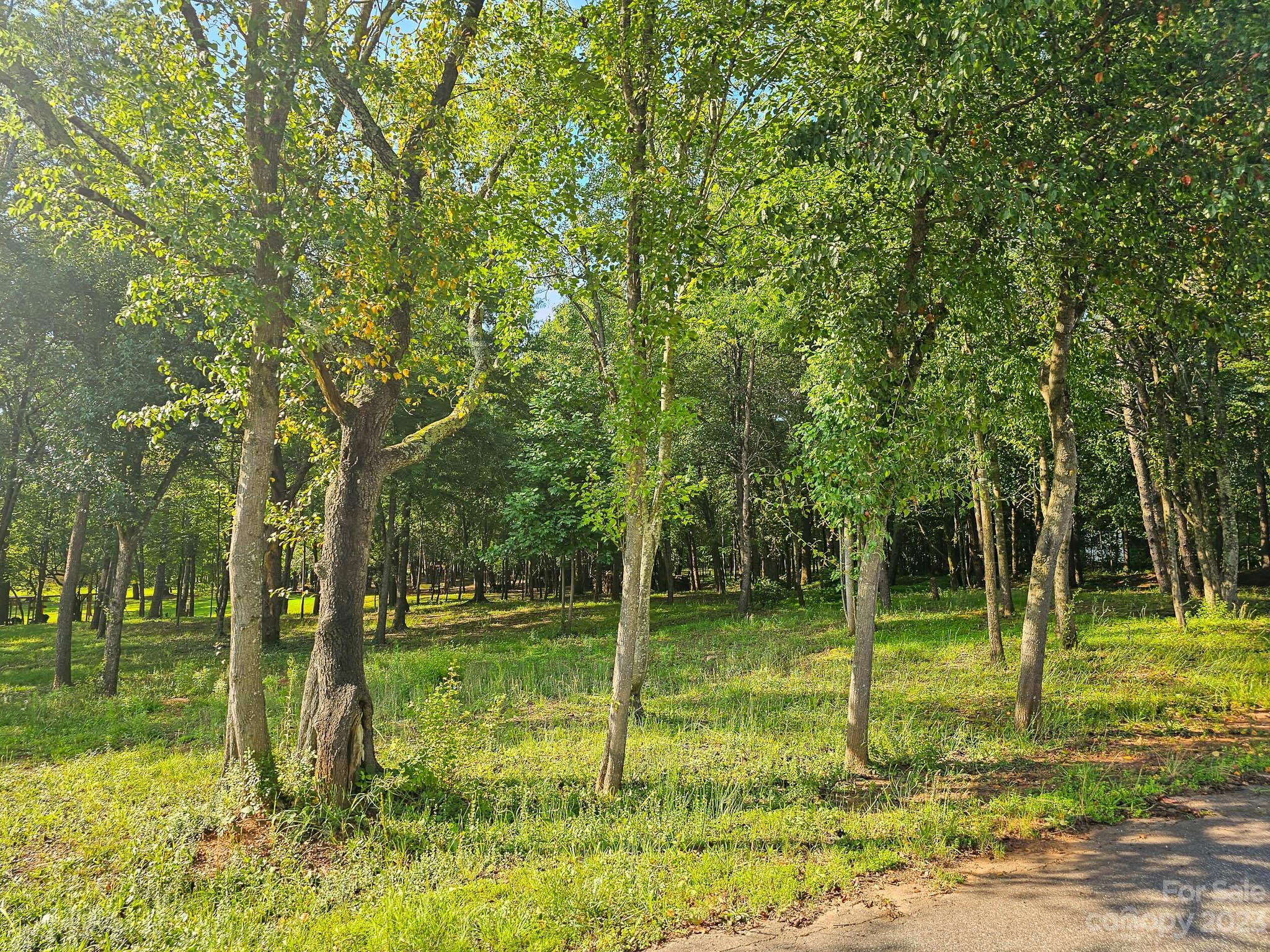 1150 Sunset Street Unit: 3