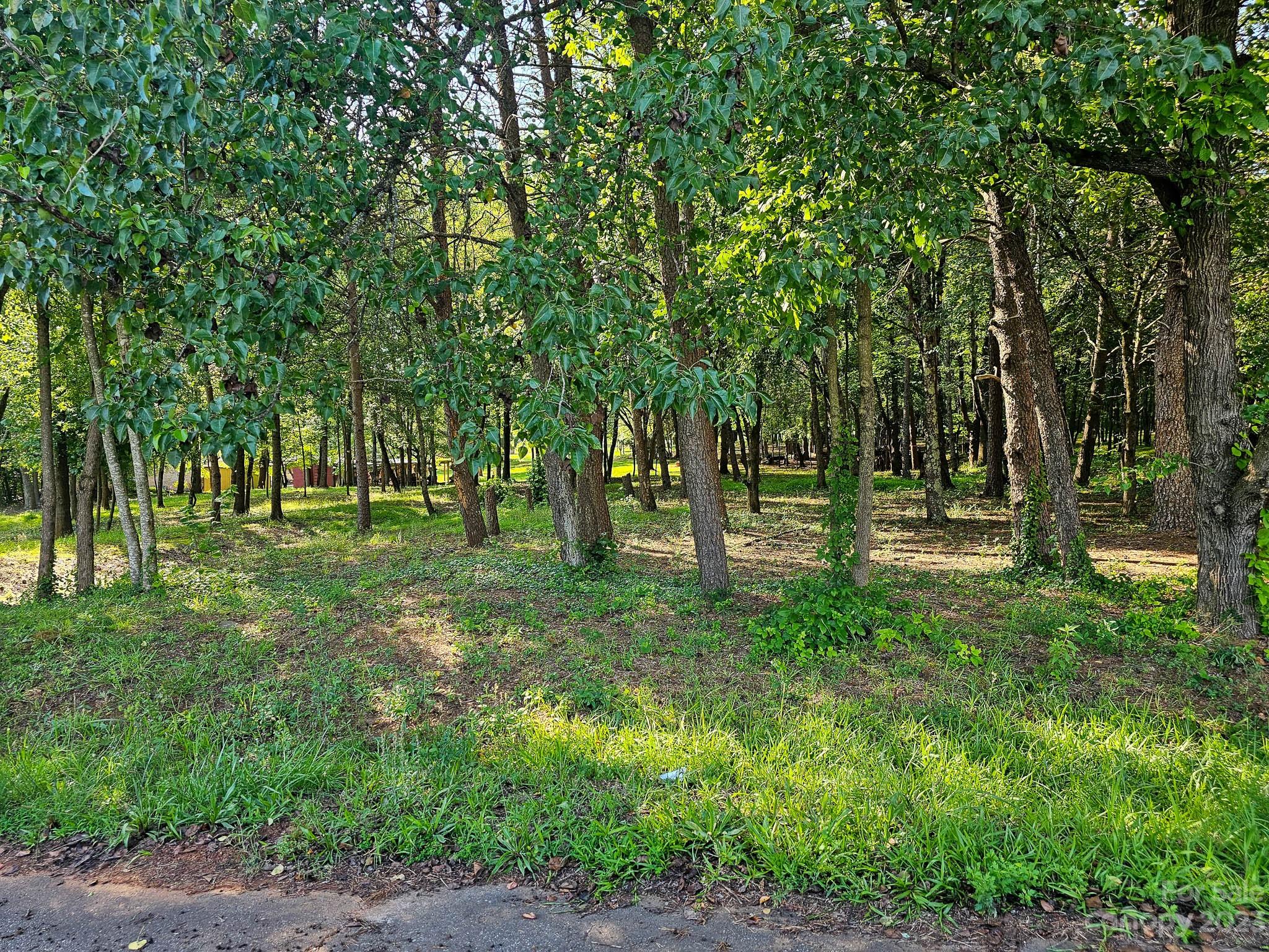 1150 Sunset Street Unit: 3