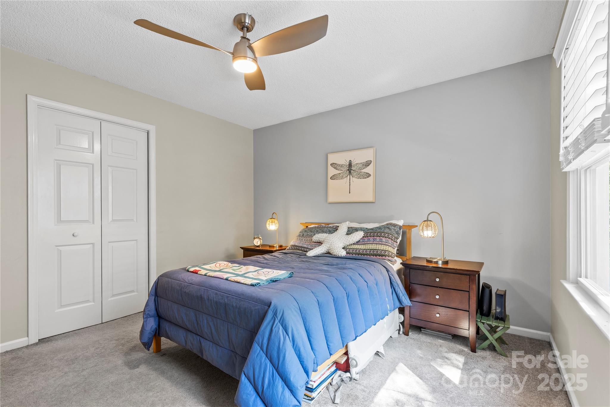 213 Michaels Gap Lane