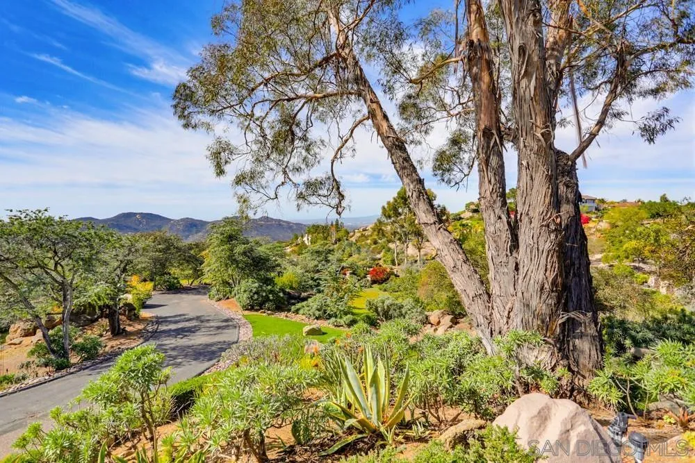 29059 Meadow Glen Way W