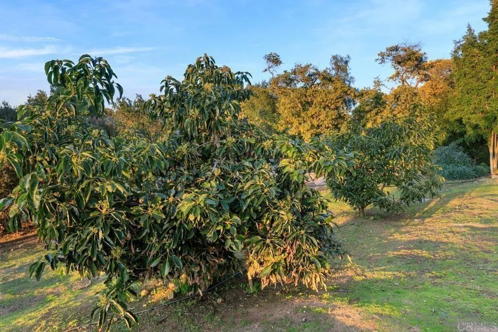 29059 Meadow Glen Way W