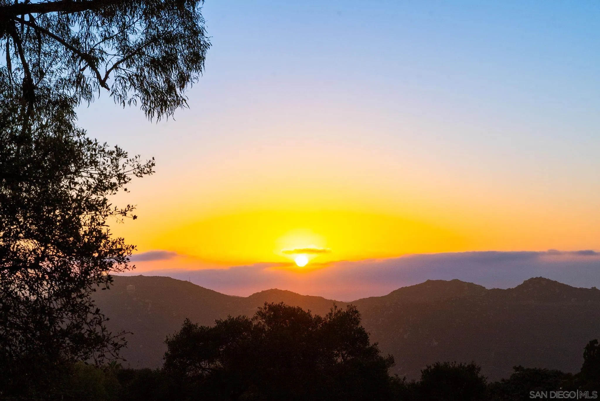 29059 Meadow Glen Way W