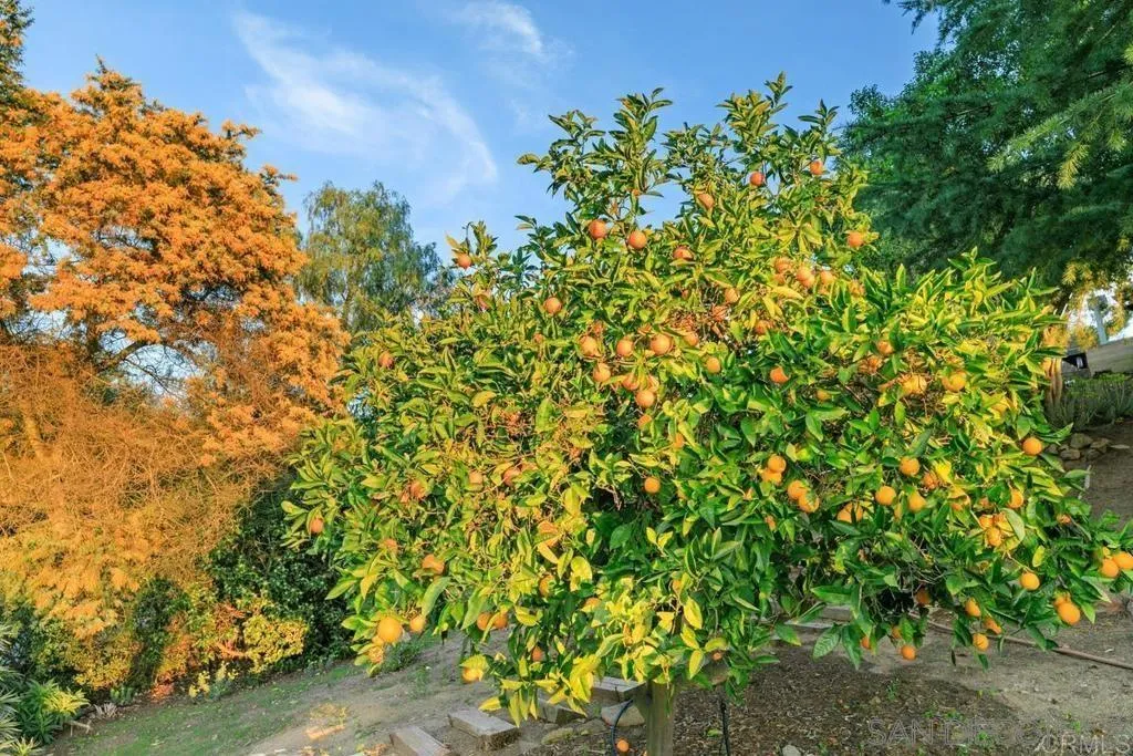 29059 Meadow Glen Way W