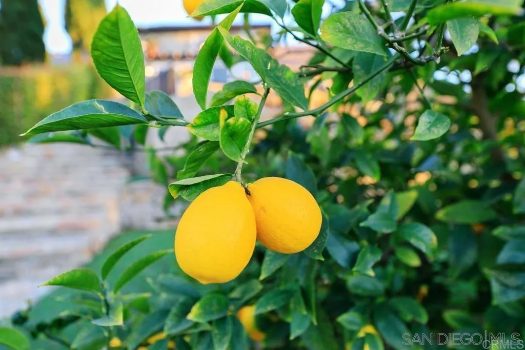 29059 Meadow Glen Way W