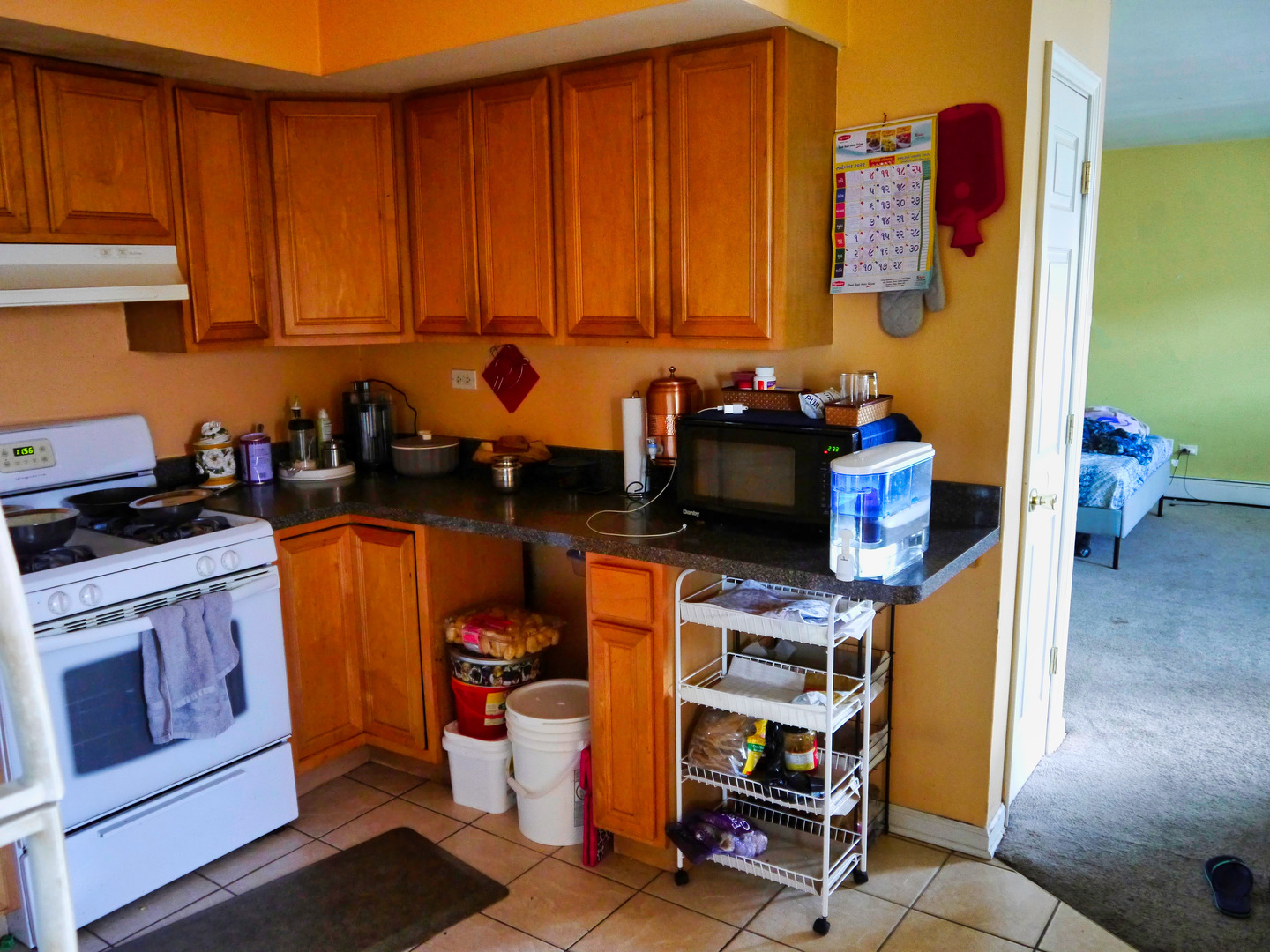 1107 HOLIDAY Lane Unit: 11