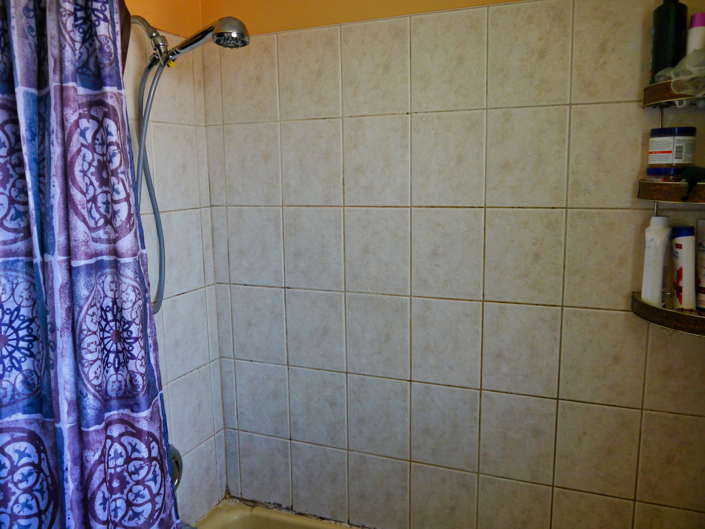 1107 HOLIDAY Lane Unit: 11