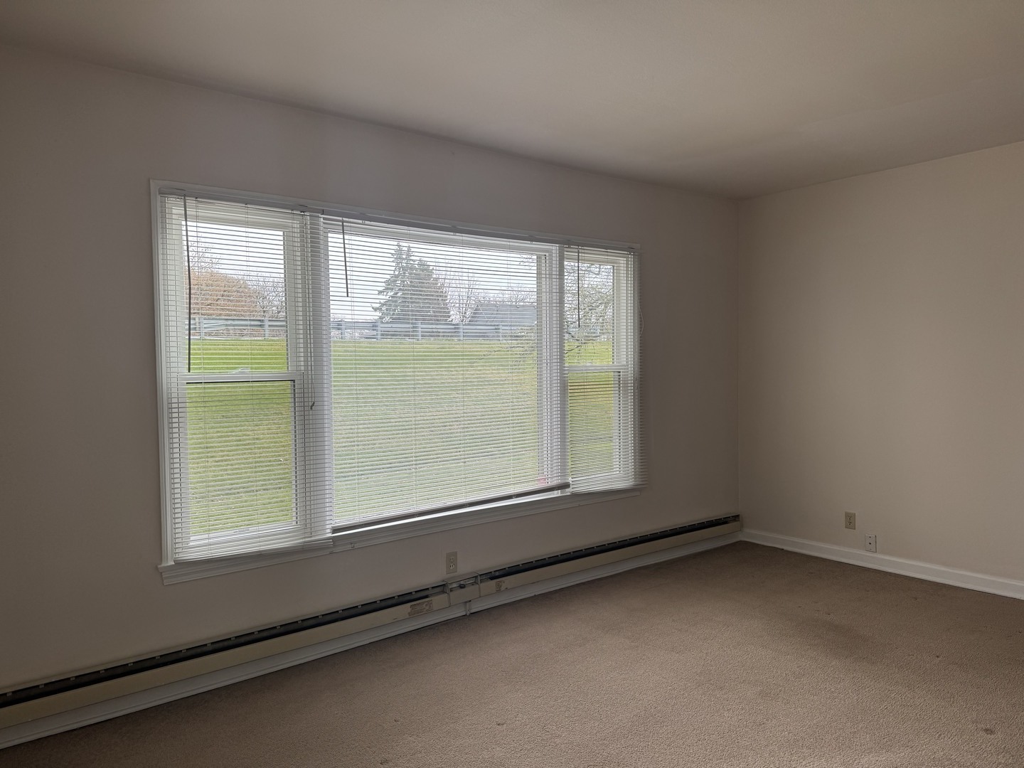 215 N 5th Avenue Unit: 215